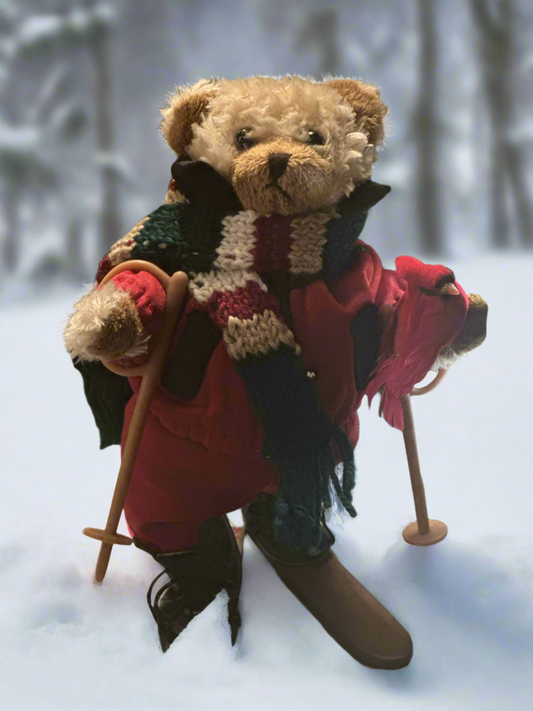 2024 Bear Skier